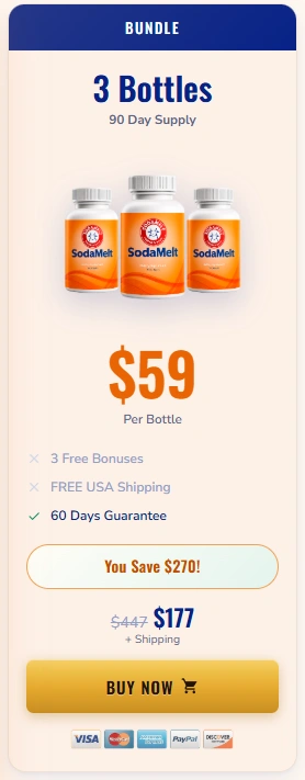 SodaMelt 3 bottle Price