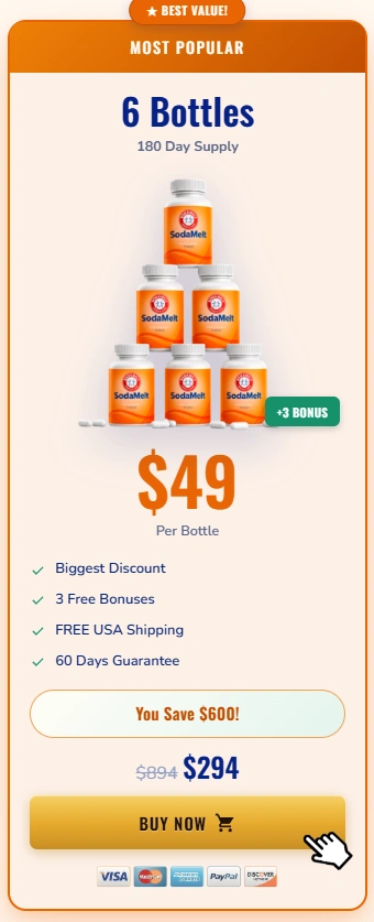 SodaMelt 6 bottle Price